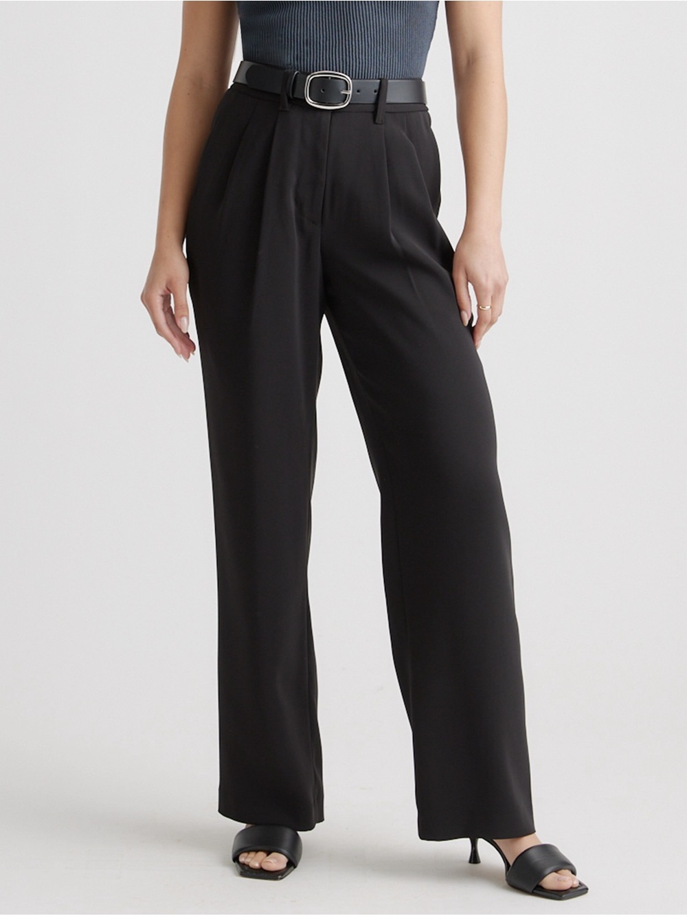 Stretch Crepe Pleated Wide Leg Pants - 14